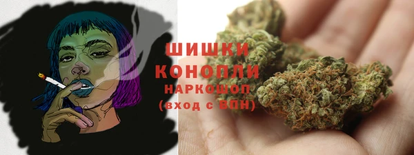 тгк Богданович