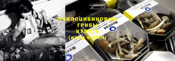 кокс Богородицк