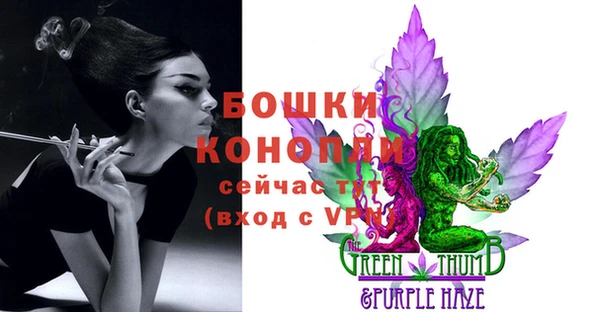 кокс Богородицк