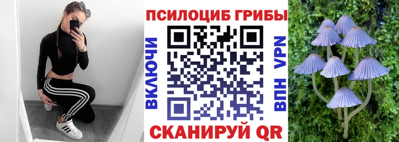 Псилоцибиновые грибы Magic Shrooms Горячий Ключ