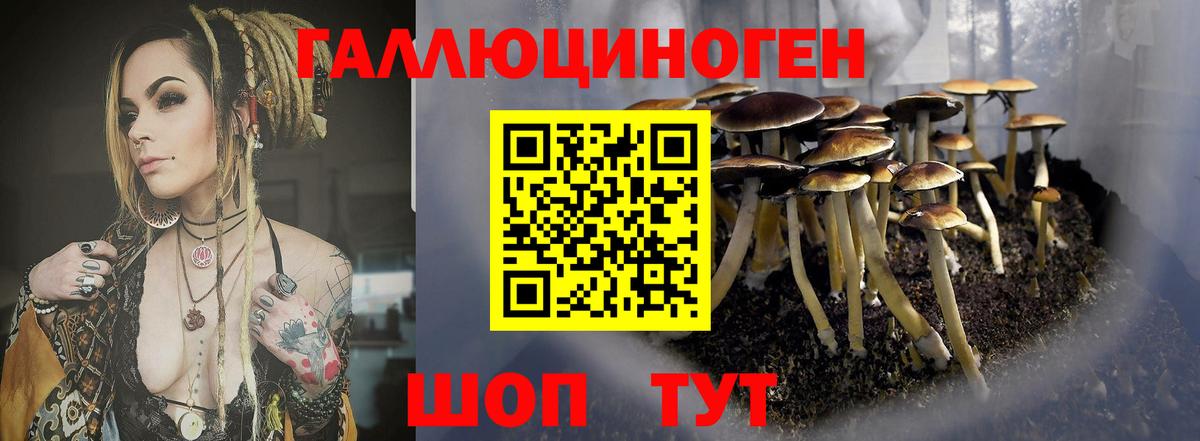 Псилоцибиновые грибы Magic Shrooms Горячий Ключ