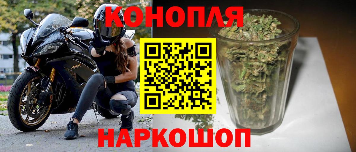 Бошки марихуана конопля  Бошки Шишки OG Kush  МАРИХУАНА план  Канабис Amnesia  Вход с VPN  Горячий Ключ 